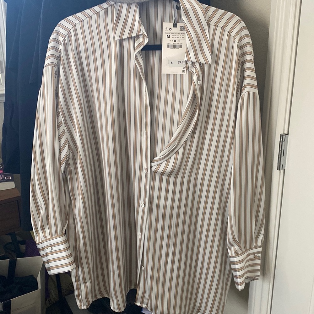 Zara Striped Button Down Shirt - White and Brown